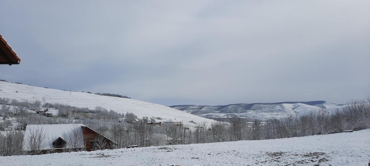 Pensiunea Emris Spatac Bagian luar foto